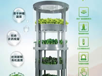 阳台种菜怎么种的好？这三点很重要！