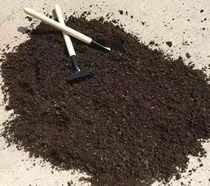 在阳台种菜怎样给土壤消毒？这些方法可以尝试！