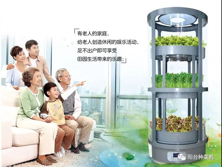 冬季阳台菜园种什么菜好，您家阳台种菜了吗？