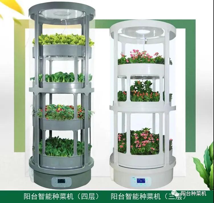 阳台种菜用什么容器好？解锁你的绿色小天地！