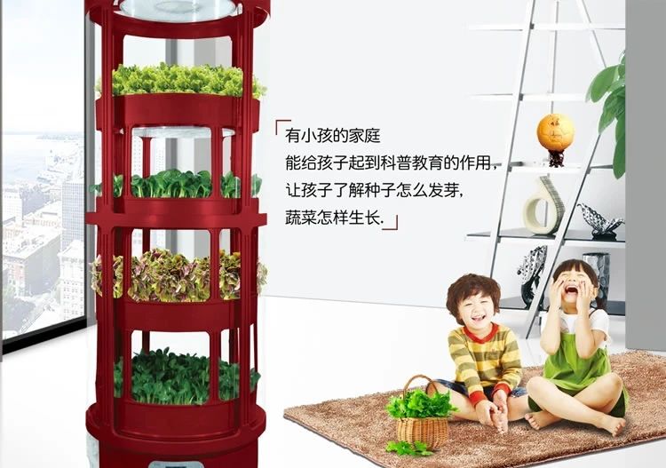 阳台种菜，必将成为家庭消费新时尚